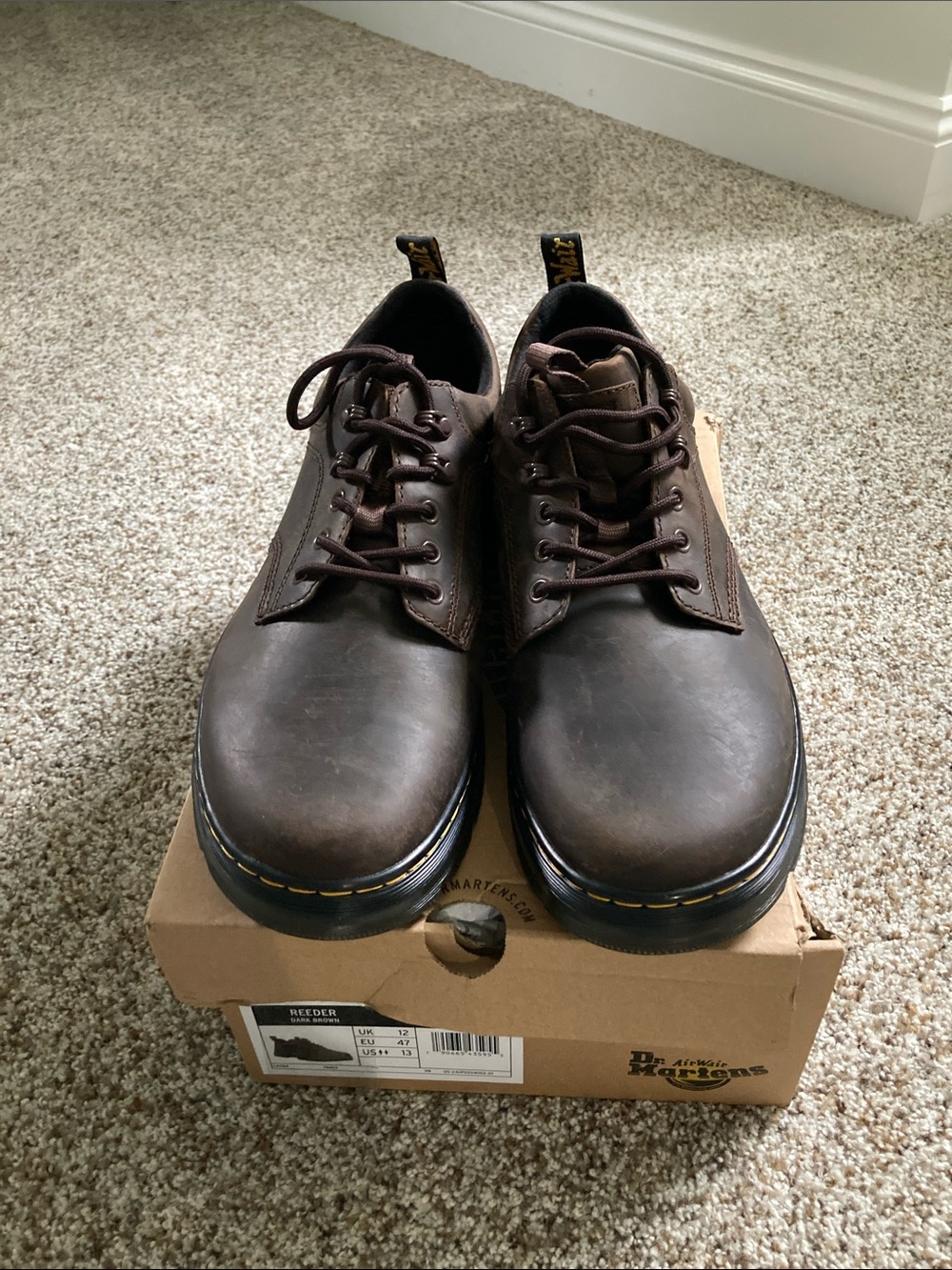 Dr. Martens Dark Brown 5-Eye Reeder Lace-Up Shoes Men’s 13 NIB brown retail $120